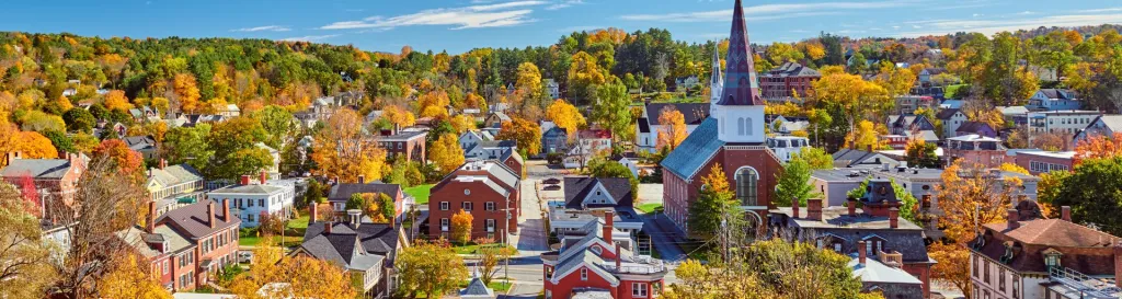 Aerial view of a small town